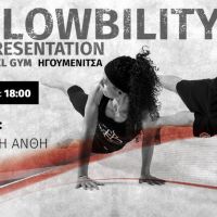 fb flowbility xl gym1.jpg